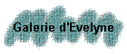 Galerie d'Evelyne