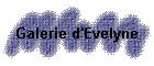 Galerie d'Evelyne